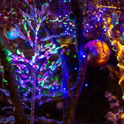 Best Christmas Lights in Columbia, MO (updated for 2024-2025!)