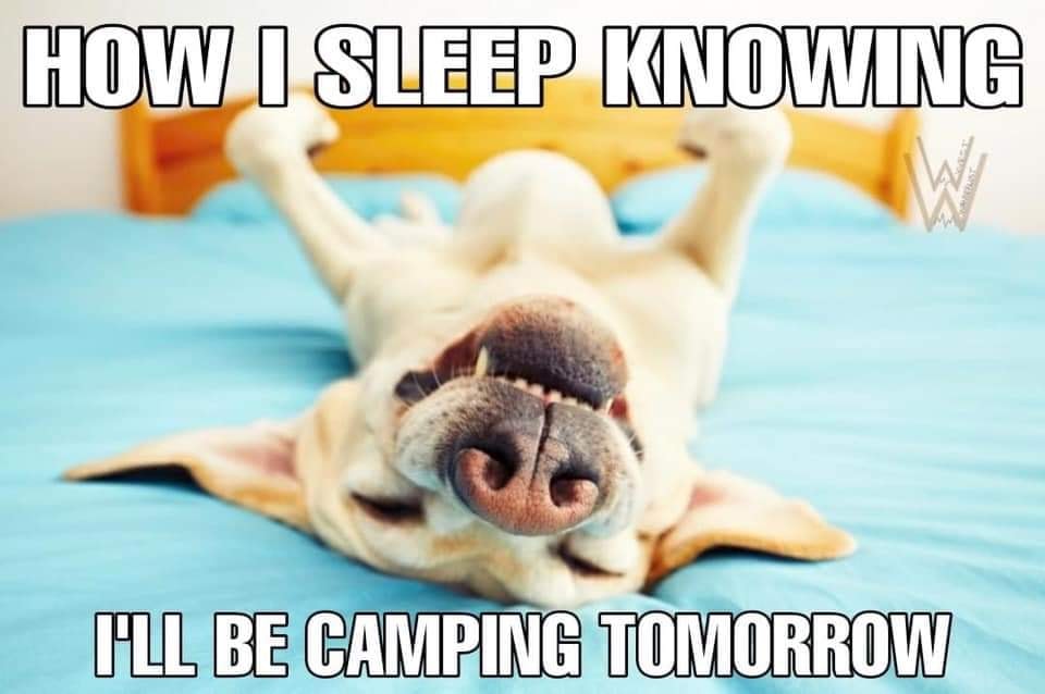 sleeping during camping meme