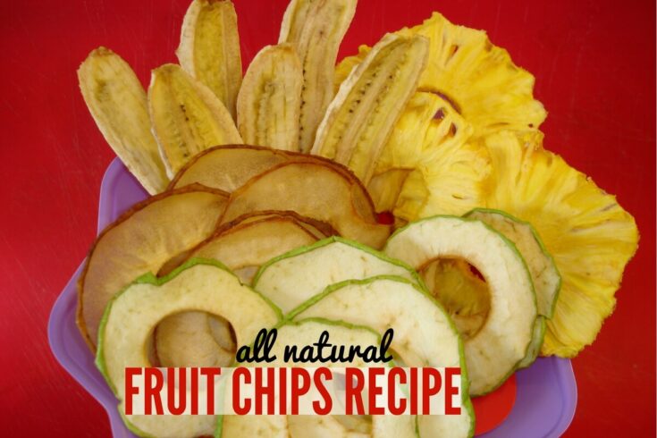 Image for Natural Fruit Chip Recipe in the Dehydrator - Gluten Free & Vegan