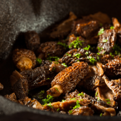 Best Tips On How To Cook and Clean Morel Mushrooms