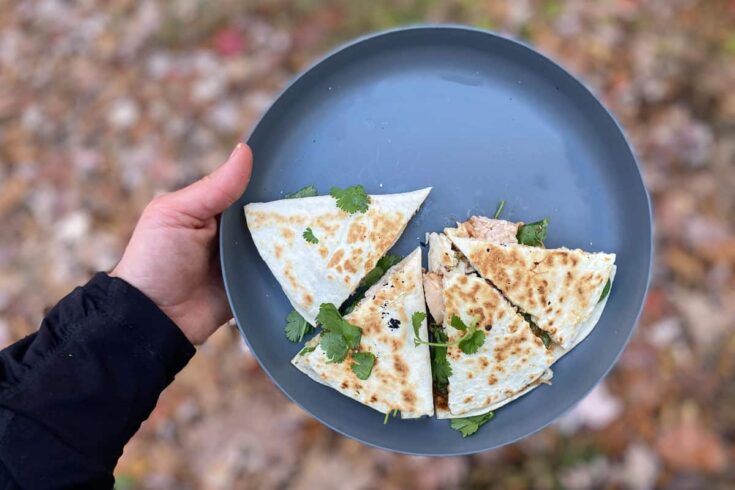 Image for Camping BBQ Chicken Quesadillas