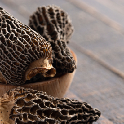 How to Preserve and Dehydrate Morel Mushrooms